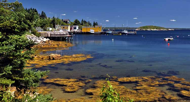water scene
